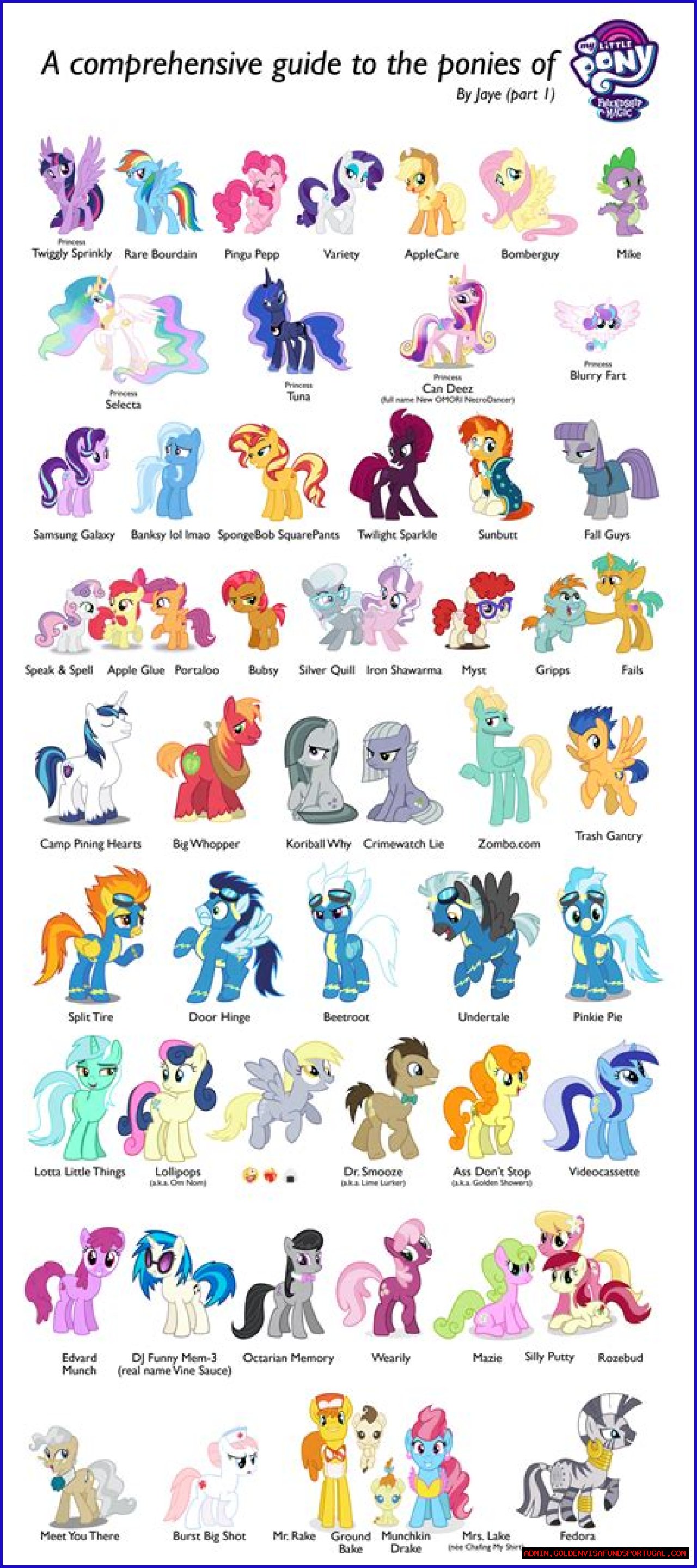 A Comprehensive Guide To Amy Belle: The Rising Star